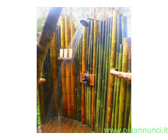 Canne di bambù  bamboo da 1 a 10 cm.diametro