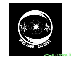 CorsoLEZIONI PRIVATE WING CHUN KUNG FU - 3