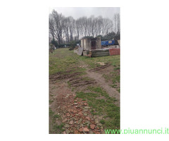 Terreno coltivabile mq7500 Privato