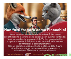 **Non farti fregare come Pinocchio**