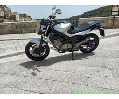 SUZUKI SFV Gladius 650 GLADIUS Naked