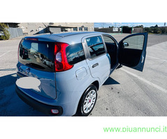 FIAT Panda 3ª serie Easy  Berlina