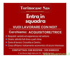 TORINOCASE Sas cerca  ACQUISITORE/TRICE nel settore Immobiliare con  esperienza