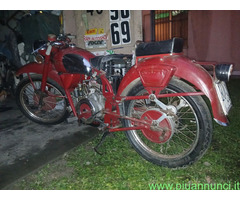 Guzzi sport epoca 50s