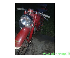 Guzzi sport epoca 50s