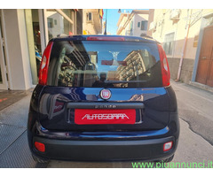 FIAT Panda 1.2 EASY 5 POSTI 70 CV Utilitaria