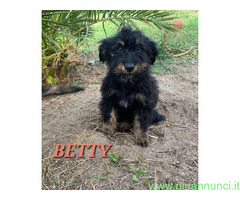 In regalo UNA MAMMA PER BETTY