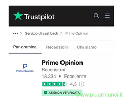 Prime Opinion sondaggi a pagamento