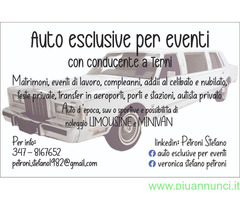 Noleggio auto con conducente